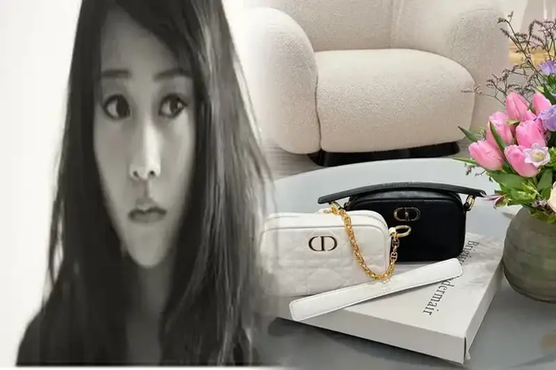 ディオール バッグ 日本 限定