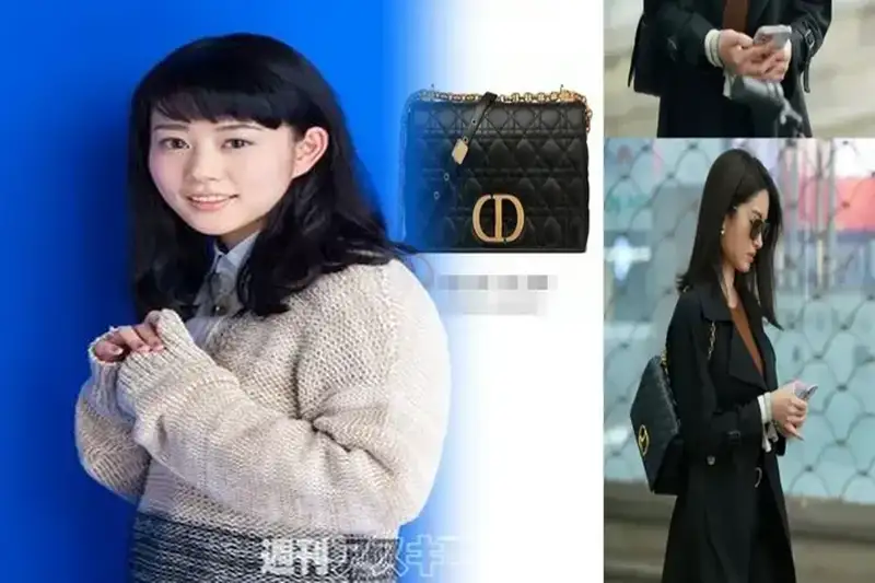 Diorの刺繍バッグ：職人技が光る逸品を紹介