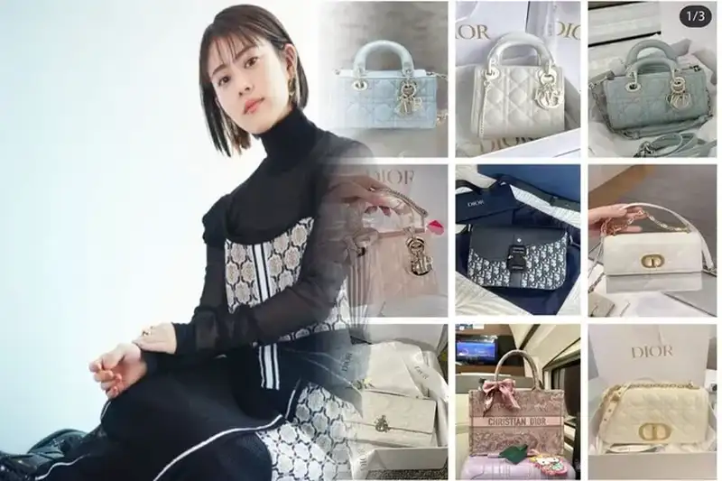 dior バック レディース