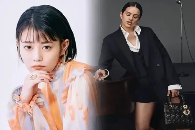 dior ブック トート 中古