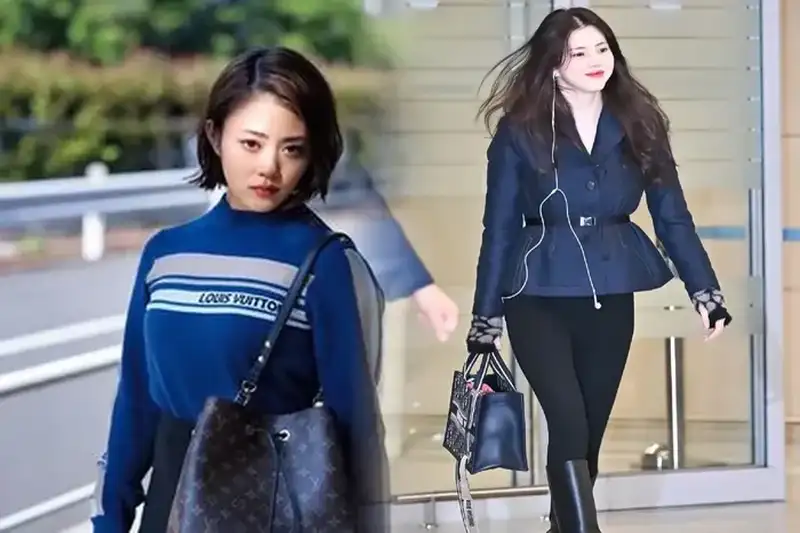 dior ブックトート 似てる