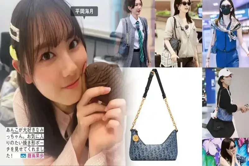 ディオール から新作バッグ レディディオール マイABCDIOR が発売