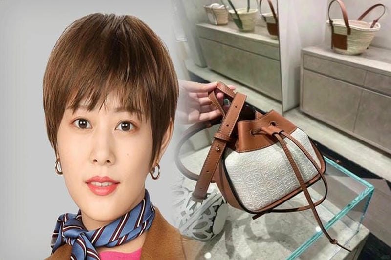 ロエベカメラバッグの実用性とおすすめポイント