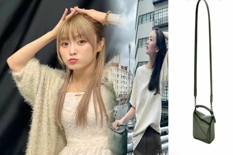 ミニサイズのロエベショルダーバッグ