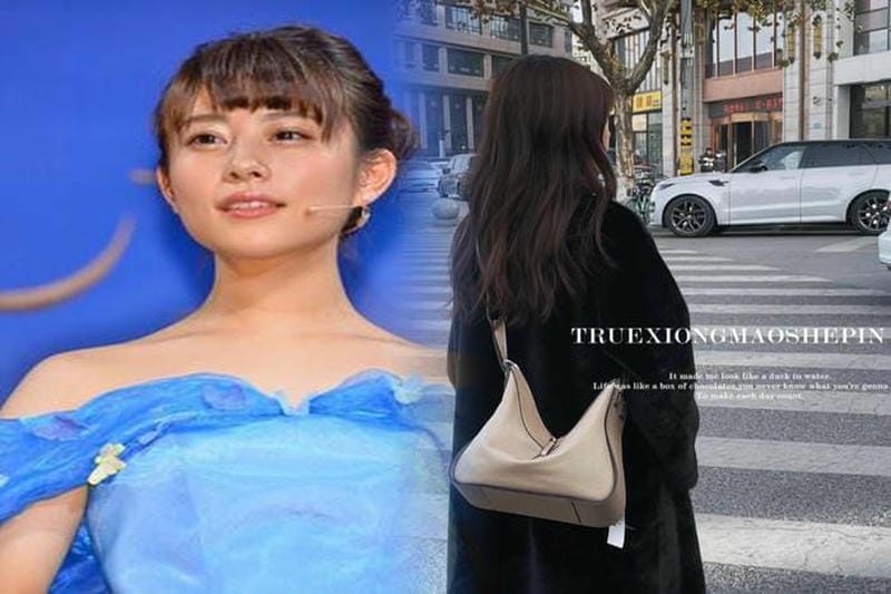 ミニサイズのロエベショルダーバッグ