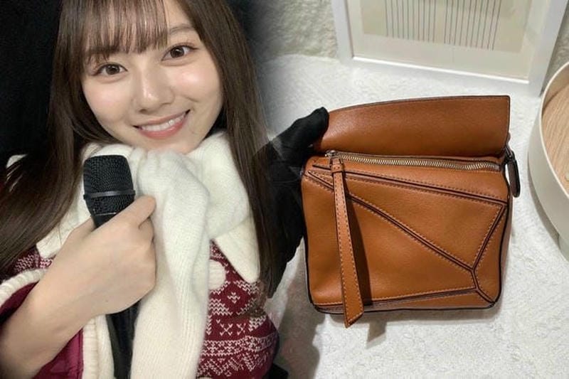 おしゃれなロエベかごバッグ、素材ごとの特徴