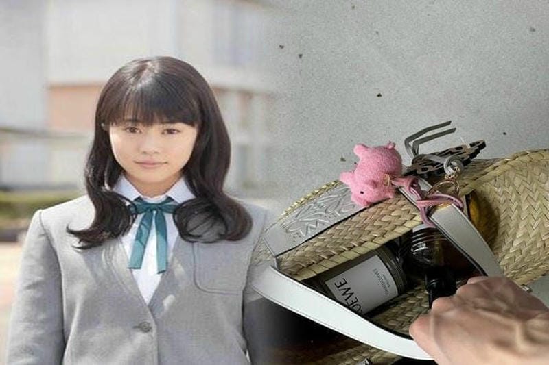 ロエベ カメラバッグの使い勝手とおすすめポイント