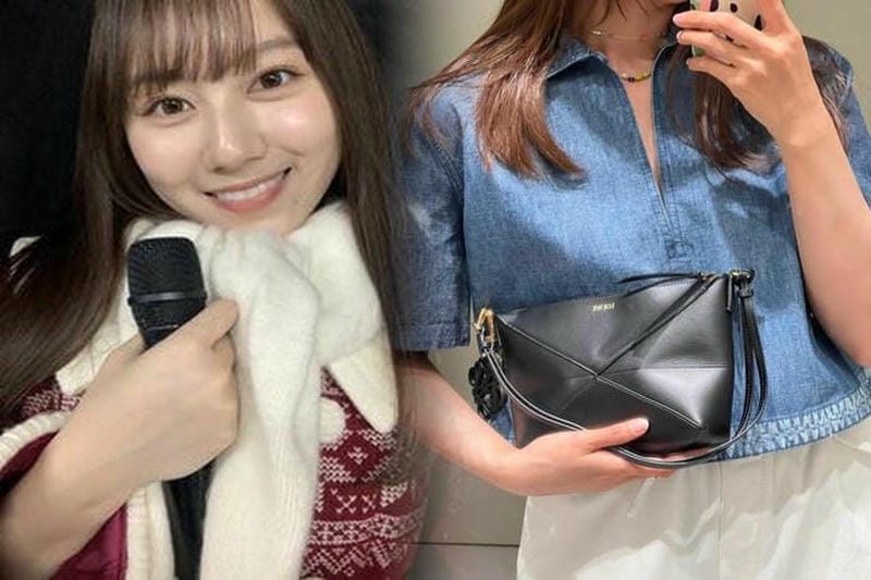 定期 入れ ロエベ