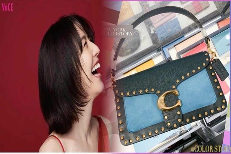 コーチ 恐竜 バッグ