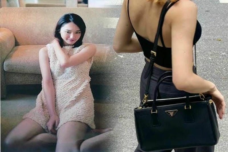 プラダ バッグ付録