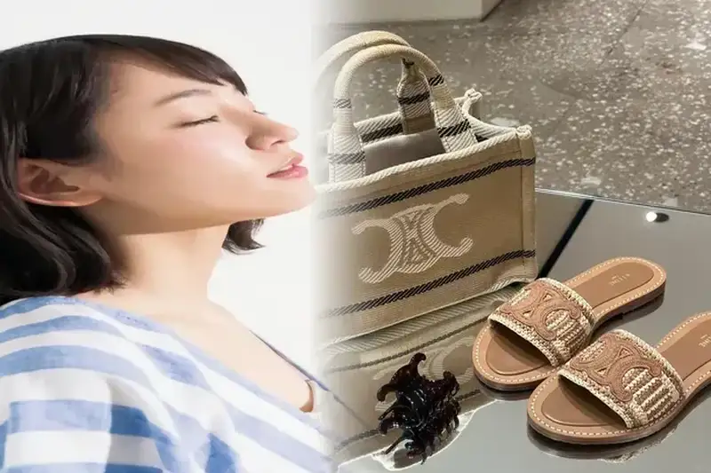 ジョーン・ディディオンはセリーヌの新しい顔に