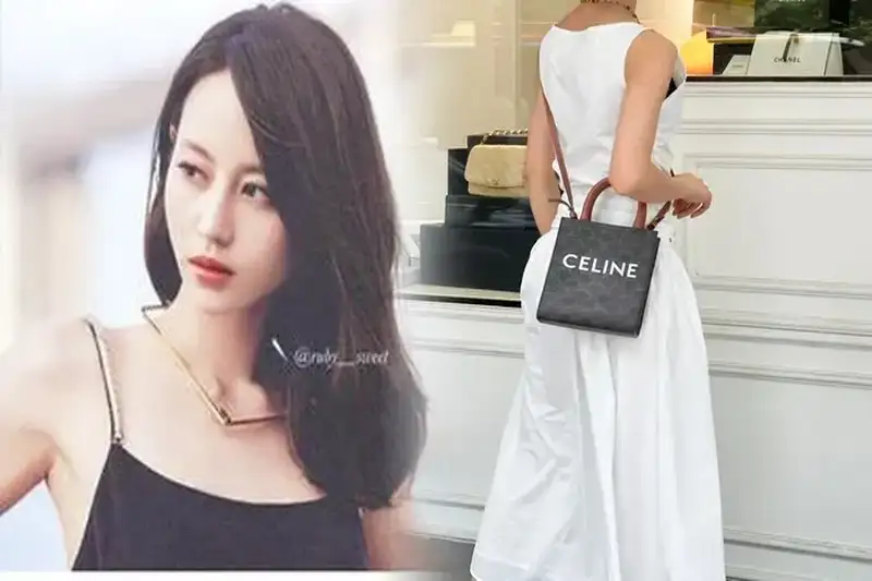 セリーヌ ショルダー バッグ 茶色