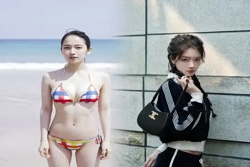 セリーヌ 風 ショルダー バッグ