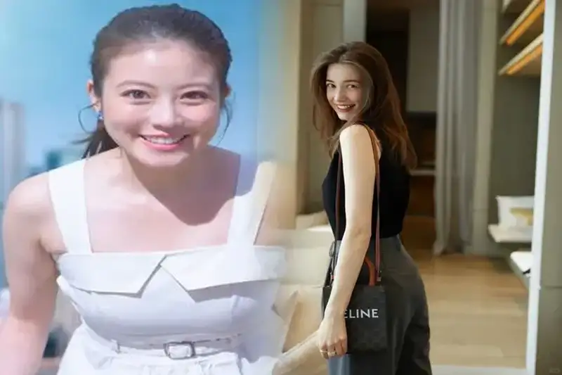 セリーヌ トート バッグ カバ