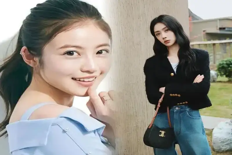 セリーヌ ショルダー バッグ 茶色