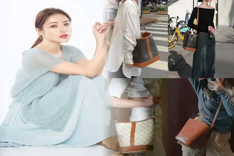 セリーヌ ビッグ バッグ スモール