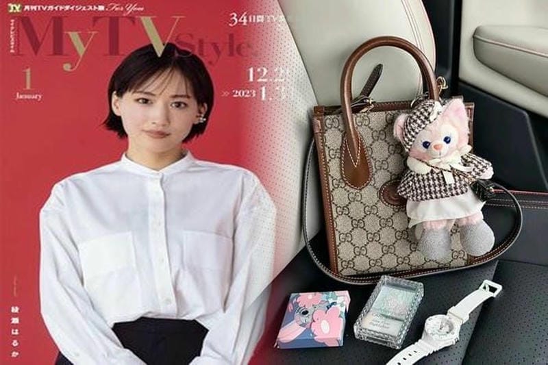 ロエベ バッグ ハンモック