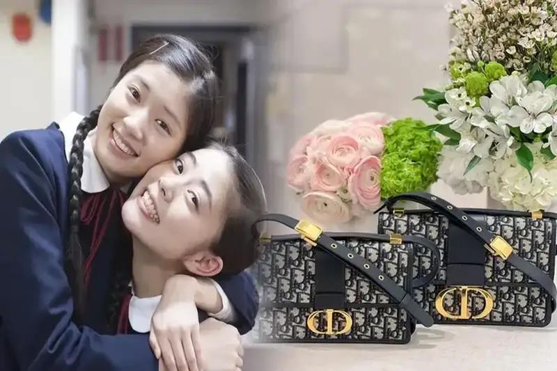 レディ ディオール 風 バッグ