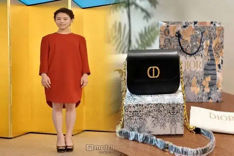 日本未入荷 DIOR MY ABCDIOR LADY DIOR カナージュ 選べるチャーム ２way