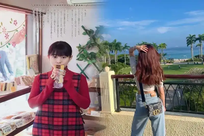 dior ブック トート スモール