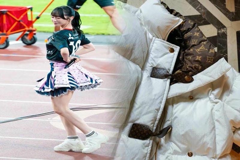 ルイヴィトンダウンクリーニングの料金相場と注意点【自宅でもできる？】