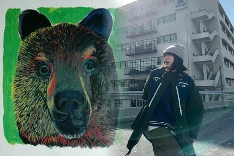 THE NORTH FACEマウンテンジャケット人気