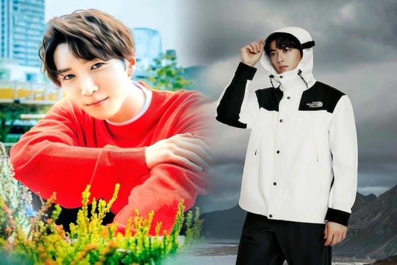 ノース フェイス 販売 情報