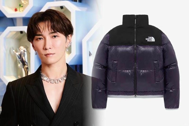 ノース フェイス beams