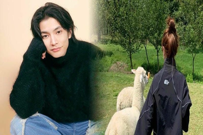 マクマード ノース フェイス