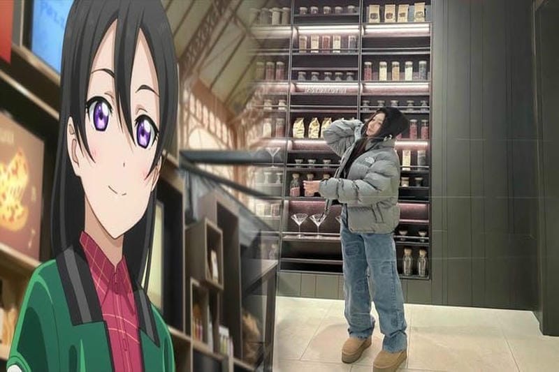 ノース フェイス 公式 通販