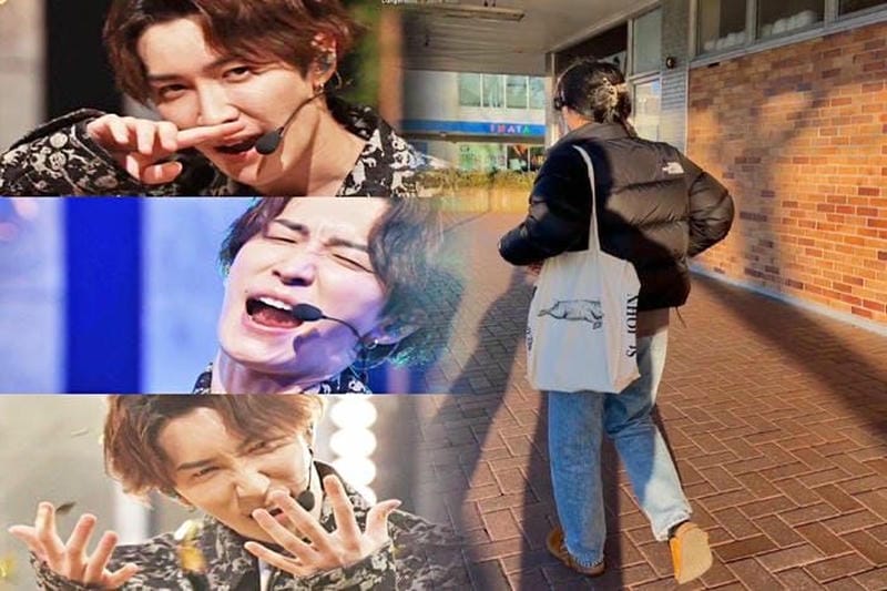 refalt ノース フェイス