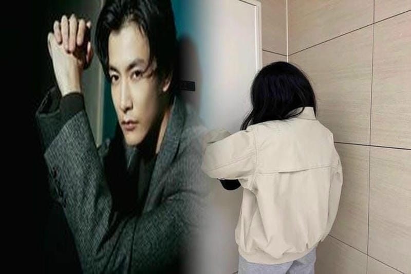 車 ノース フェイス ステッカー