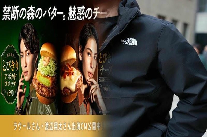 ノース フェイス 収納 ボックス