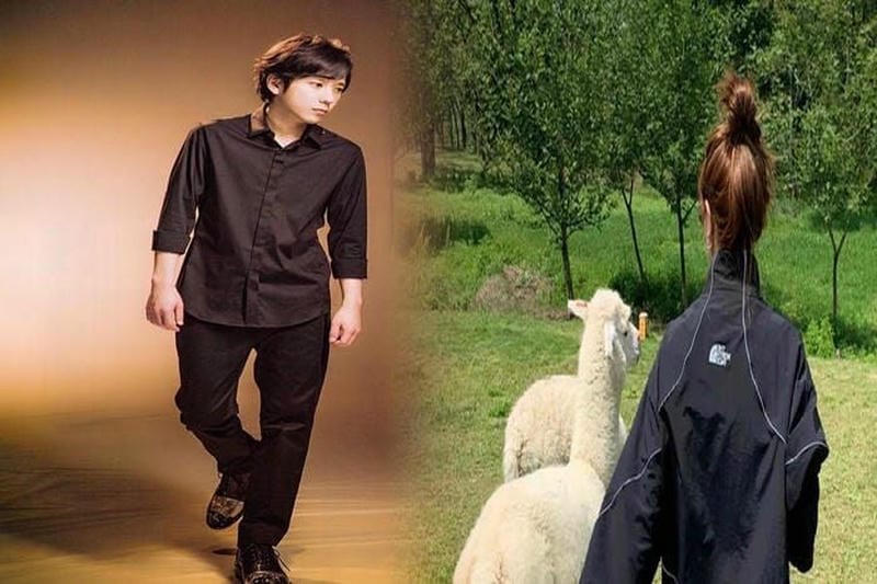 THE NORTH FACE冬用ジャケットレディース