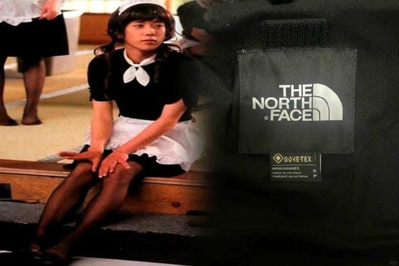 ノース フェイス バイト 29l