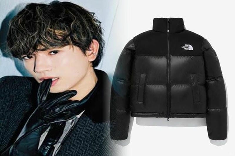 インター パーク ノース フェイス