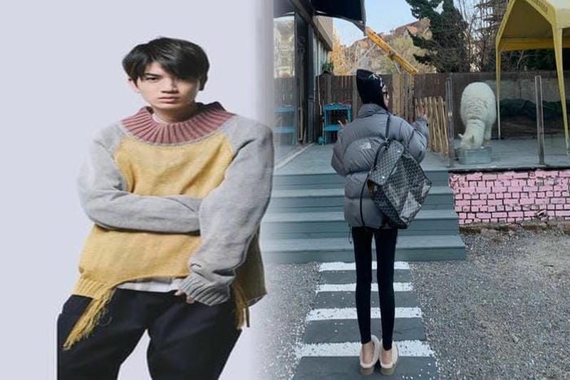 ノース フェイス サミット 取扱 店