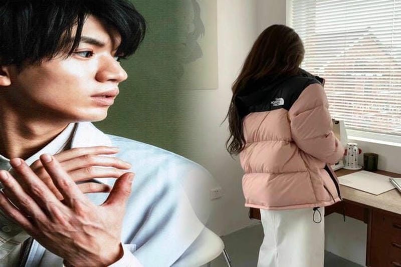 ノース フェイス カタログ 2017