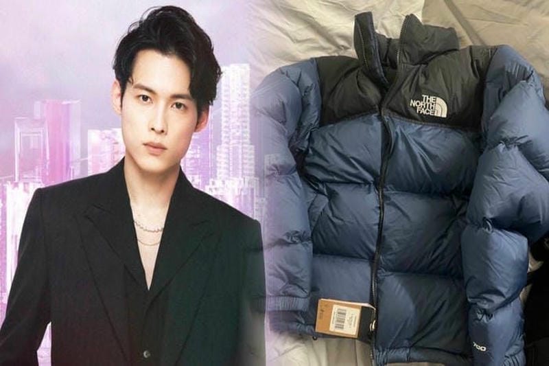 ノース フェイス ポーチ レディース