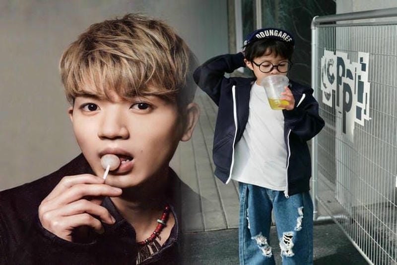 ノース フェイス マウンテン ライト