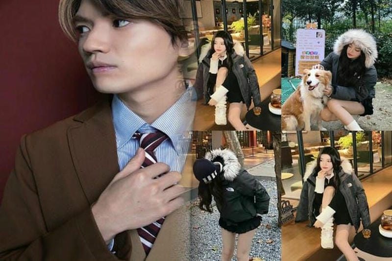 ノース フェイス マーティン ウイング