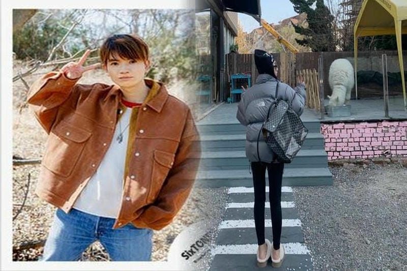 ノース フェイス ストライク トレイル