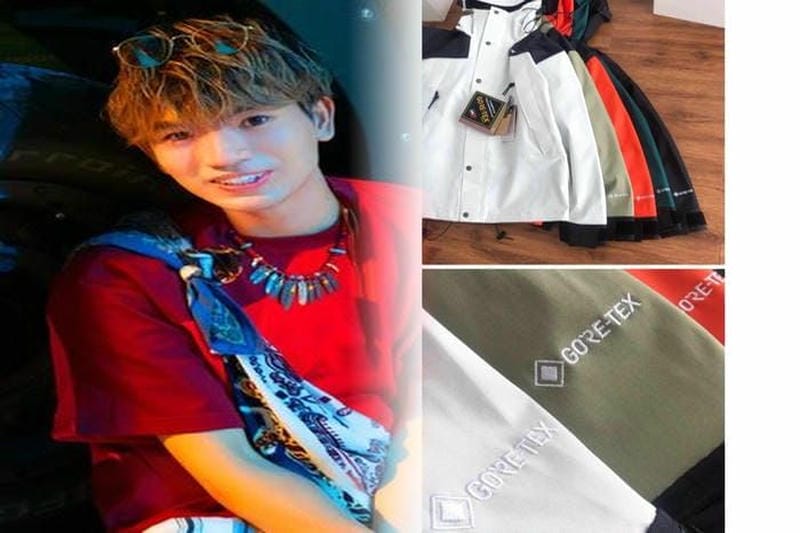 ワイマラナー ブラウン ノース フェイス