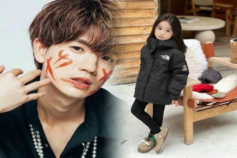 ノース フェイス レディース ジャンパー