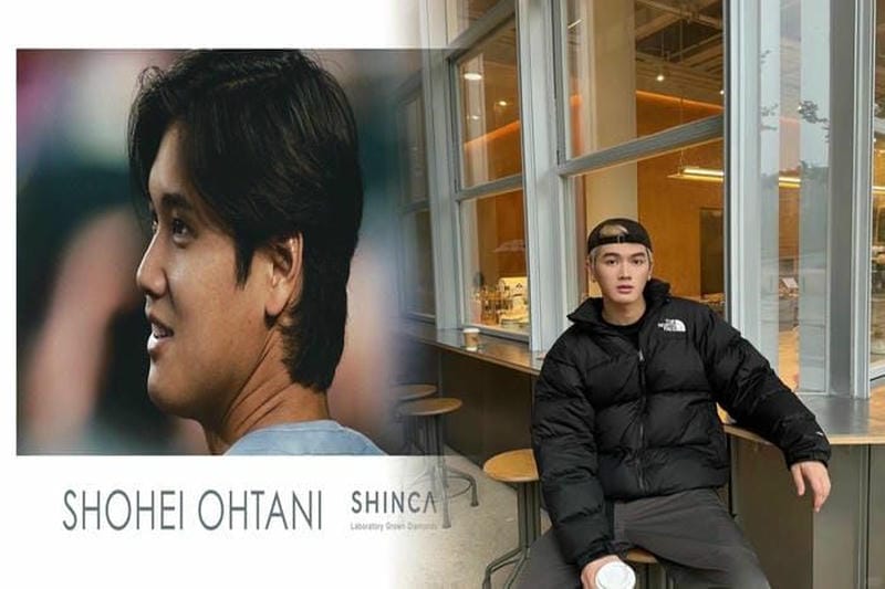 ノース フェイス 50 周年 ステッカー