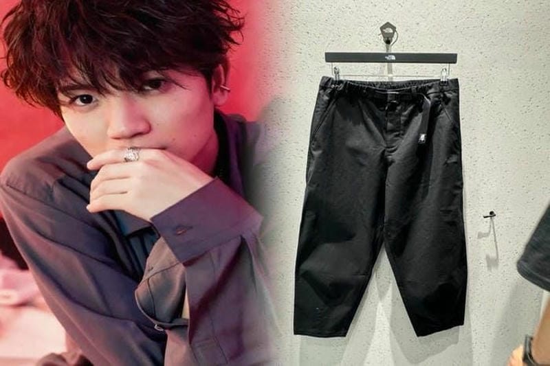 ノース フェイス ワイマラナー ブラウン