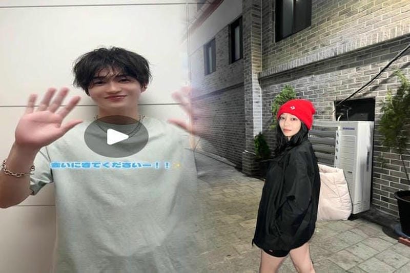 ノース フェイス ハード シェル おすすめ