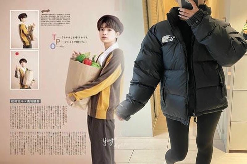 ノース フェイス スワロー テイル ベスト