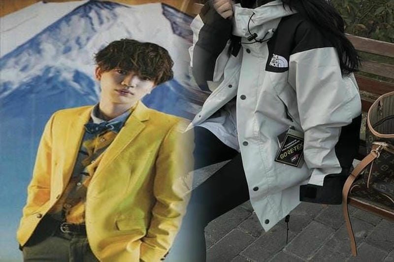 supreme ノース フェイス 17ss