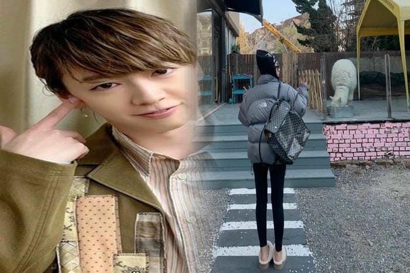 ノース フェイス ヒューズ ボックス amazon